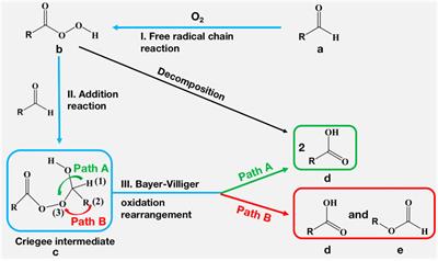 Solvent Effect on Product Distribution in the Aerobic Autoxidation of 2-Ethylhexanal: Critical Role of Polarity